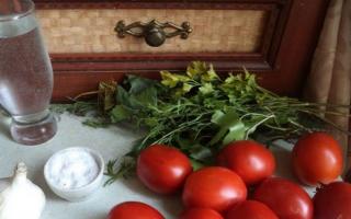 Как солить помидоры на зиму в банках: рецепты домашних заготовок Как лучше посолить красные помидоры