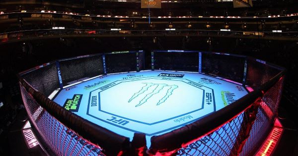 Дана Уайт пообещал увеличить бонусы на UFC 304 в два раза