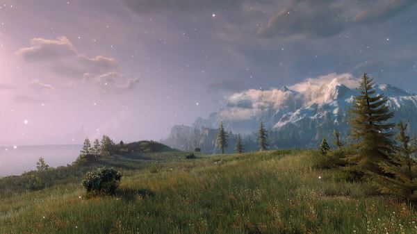 Для The Witcher 3 вышел мод, значительно улучшающий качество травы — скриншоты